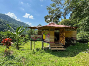 Cabaña Guasale (Toucan)